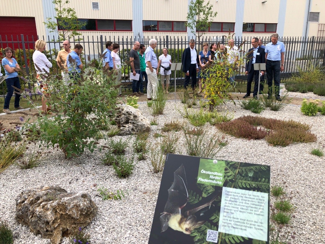 Für die Öffentlichkeit zugängliches Steinrondell mit Wildblumen
