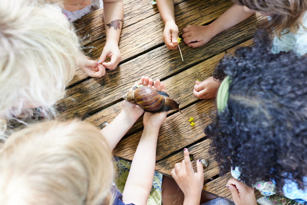 René Arnold / © Stiftung Kinder forschen